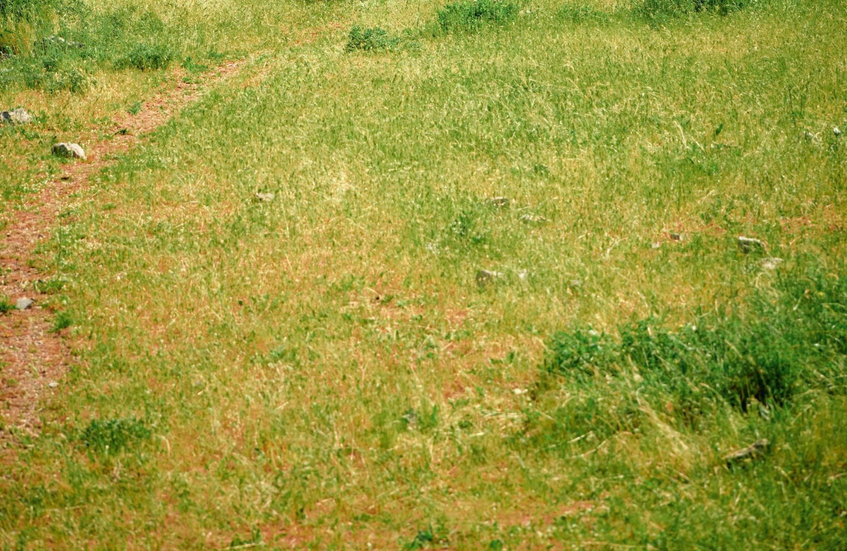 Acheter un terrain les avantages et les inconvénients