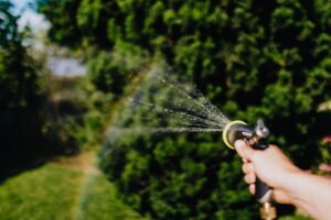 Captation et utilisation de l'eau de pluie pour l'arrosage du jardin : un geste écologique