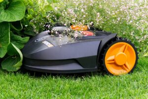 Comment choisir le robot tondeuse adapté à votre jardin : critères essentiels à prendre en compte