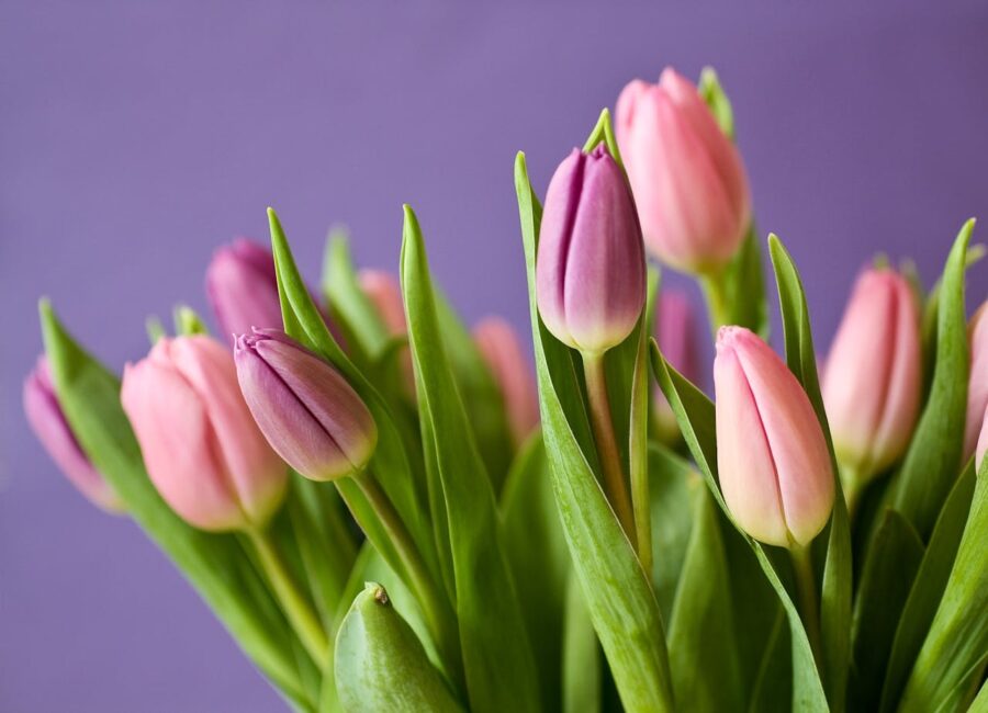 Les meilleures fleurs d'avril pour un mariage inoubliable