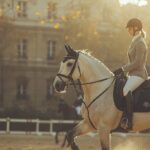 Découvrez le programme détaillé des épreuves d'équitation pour les JO 2024