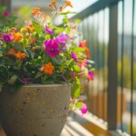 Idée de composition pour jardinière extérieure : Créer un espace fleuri unique