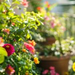 Plantes pour jardinière toute l'année : des idées pour un balcon coloré