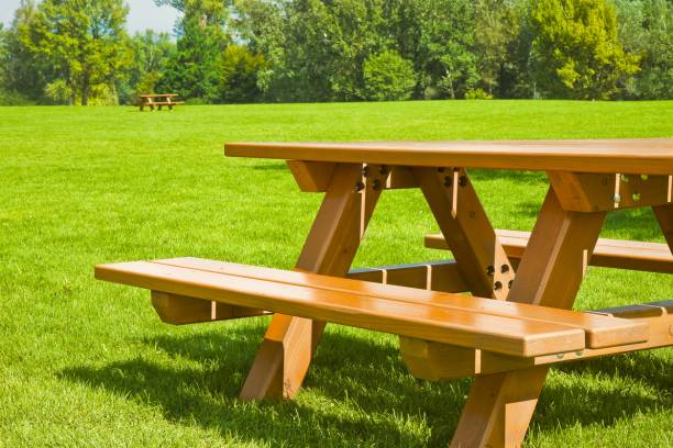 Transformez votre espace extérieur avec une table de pique-nique en bois