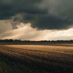 La météo agricole à Paris : un facteur essentiel pour les agriculteurs