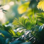 Abeilles et jardin : Comment aménager votre espace pour les accueillir ?