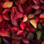 Mon jasmin a les feuilles rouges : Découvrez pourquoi et comment y remédier