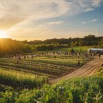 Quels sont les rôles et l'impact des écoles agricoles aujourd'hui ?