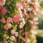 Clématite : conseils de taille et secrets pour une floraison éclatante