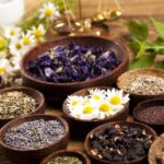 Les plantes médicinale pour arrêter de fumer